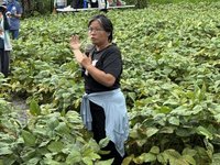 光復受災農地成功復耕 農場主號召更多農友參與