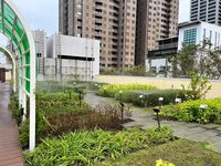 高雄市建物綠化補助二階開跑　最高80萬元