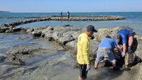 150年前當嫁妝的石滬　牛心灣石滬展開為期60天修護