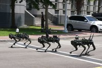 中科院曝光3型軍規機器狗　可執行偵蒐警巡高風險任務