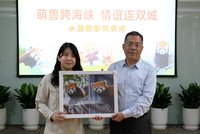 雙城論壇小貓熊在上海完成移交  最快7月亮相