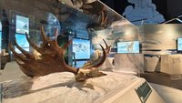 探索環境變遷與未來　基隆海科館極地探險特展開幕