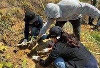 中華大學攜手企業親子植樹　竹縣荒廢茶園變生態林