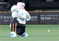 統一獅攜手三麗鷗收入9千萬　寫隊史主題日紀錄