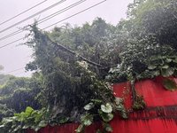 因應連日雨勢　謝國樑要求基隆市府局處落實防汛