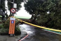 北市水源路樹木傾倒壓壞汽車　現場警戒無人受傷