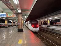 台鐵花蓮站列車長被蜈蚣咬傷  送醫無大礙