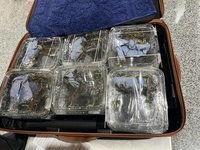 金門小三通旅客帶蜥蜴出境未被攔　岸巡：納案例教育