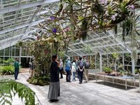 阿里山植物園溫室浮光界開幕　升級森林療癒體驗