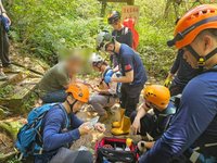 新北三貂嶺夫妻登山遭蜂螫   男子恢復意識送醫