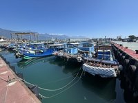 颱風米克拉接近　花蓮縣府籲農漁畜業提前防颱