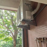 台中教室冷氣室外機虎頭蜂築巢　男童打掃遭螫送醫