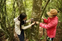 南投奧萬大野生動物研習　認識「森林居民」共存