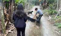放養犬隻肇事居民恐慌　嘉縣罰飼主逾5萬送辦