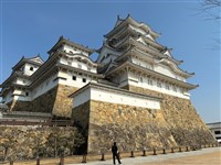 國旅體驗型遊程興起　旅客重視投資情緒價值