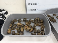 男大腿綁70隻印度星龜闖關  雄檢依野保法起訴