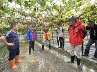 屏東6月豪雨連連農損多　縣府建議救助全品項免勘