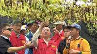 卓榮泰：調整淹水補助 有居住或營業事實均可
