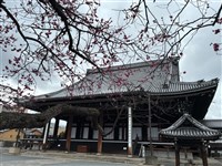 調查：95%亞太旅客不畏成本增　台灣出遊信心居冠