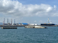 環團質疑台中港填海造陸工程 恐影響白海豚棲息