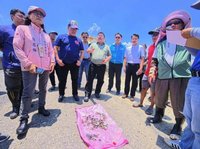 大雨釀文蛤死亡7成　嘉縣府已申請農業部救助
