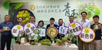 國產最大葡萄青玉問世　有哈密瓜香氣抗高溫