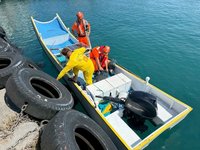 小琉球海龜遭漁網纏繞 專家籲減少廢棄物流入海洋