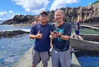 新北貢寮鮑混養紫海膽　冬夏增收益降採捕壓力