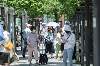 中暑住院可理賠　南山人壽獲准試辦抗高溫微型保單