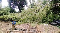阿里山林鐵本線6處土石崩落及倒木　7/13仍停駛