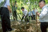 賴總統：以農立國　建立制度吸引青年投入農業
