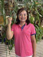 賴淑娞以無黨參選斗六市長　國民黨：將依黨紀辦理