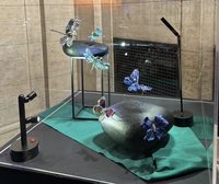 藝術家陳智權珠寶作品  舊金山亞洲藝術博物館展出