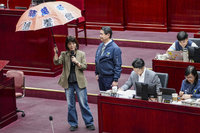 蔣萬安施政報告　綠猛攻淹水砍樹議題藍營力挺市府