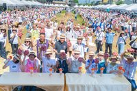 平鎮舉辦千人割稻飯活動　桃園市規劃敬老卡農會購物