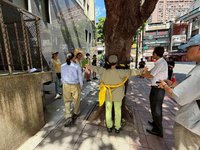 台灣樹人會：健保署從善如流　青島西路護樹成功