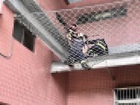 台中某社區10歲女童4樓墜下  防護網接住擦傷送醫