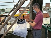 雲林1男染日本腦炎　衛生局加強病媒蚊監測