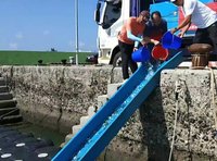 爭取國軍敦親睦鄰經費　澎湖區漁會放流10萬尾魚苗