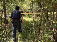 高雄都會公園旁樹叢發現人類骨骸　警比對失蹤人口