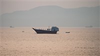 美伊衝突升溫威脅航運　荷莫茲海峽通航船隻再減少