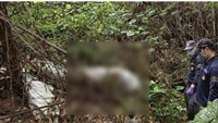 彰化荔枝園裹屍案　死者身分確認死因待查