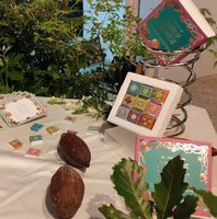 保育亮點  林保署與業者合作受脅植物巧克力