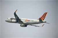 颱風紅霞影響　華航、虎航24日部分班機異動