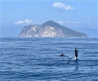颱風紅霞影響　龜山島25日封島