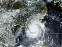 颱風紅霞預計夜間登陸廣東　多地停運停航停課