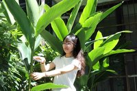 興大研究月桃抗老關鍵 外囊泡修復肌膚提升細胞能量