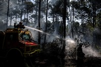 野火肆虐法國西班牙　歐盟調派飛機與人員救災