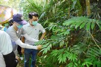 台東農改場助酒麴作物保種  傳承原民文化