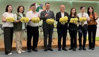 徐國勇蔡易餘信賴之友會挺農　認購嘉義香蕉送弱勢